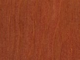 Madera 104
