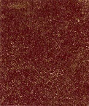 Patina 14