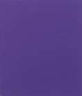 Violeta 42