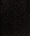 Negro 27